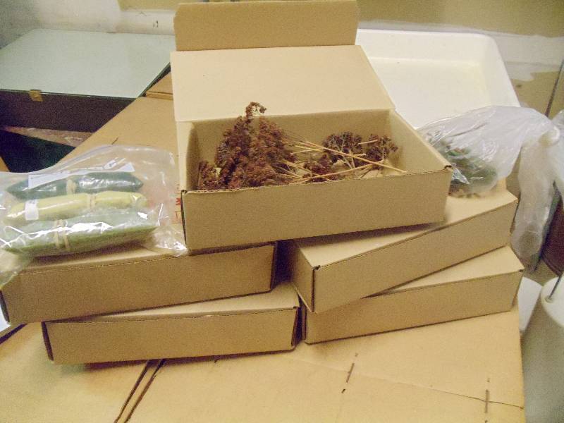 Model Trees