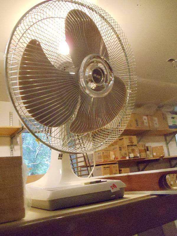 Fan