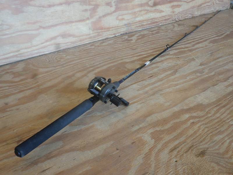 lot 27 image: ProCaster 65 Medium Action Rod Wi...