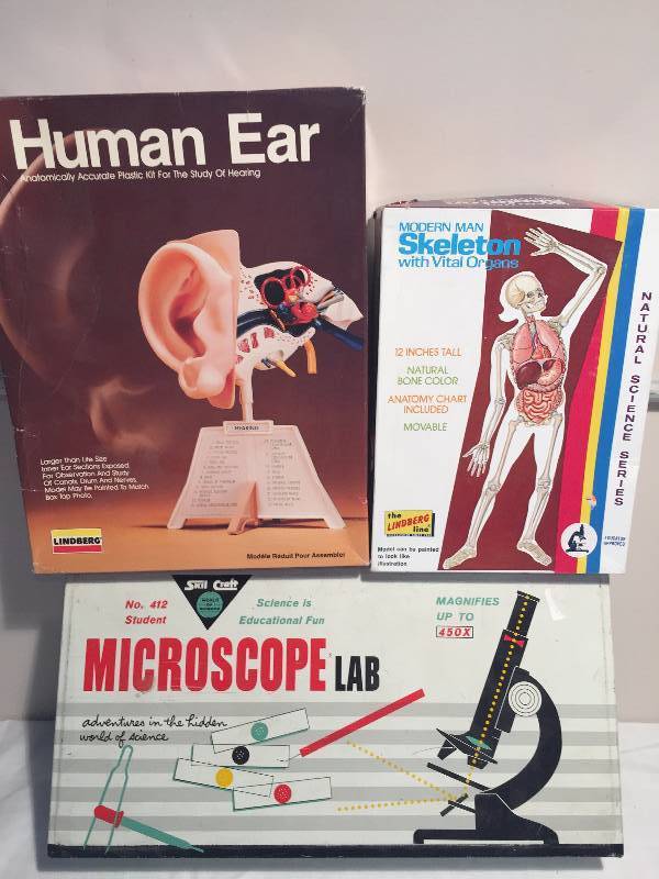 ANATOMYSCIENCE GAMES