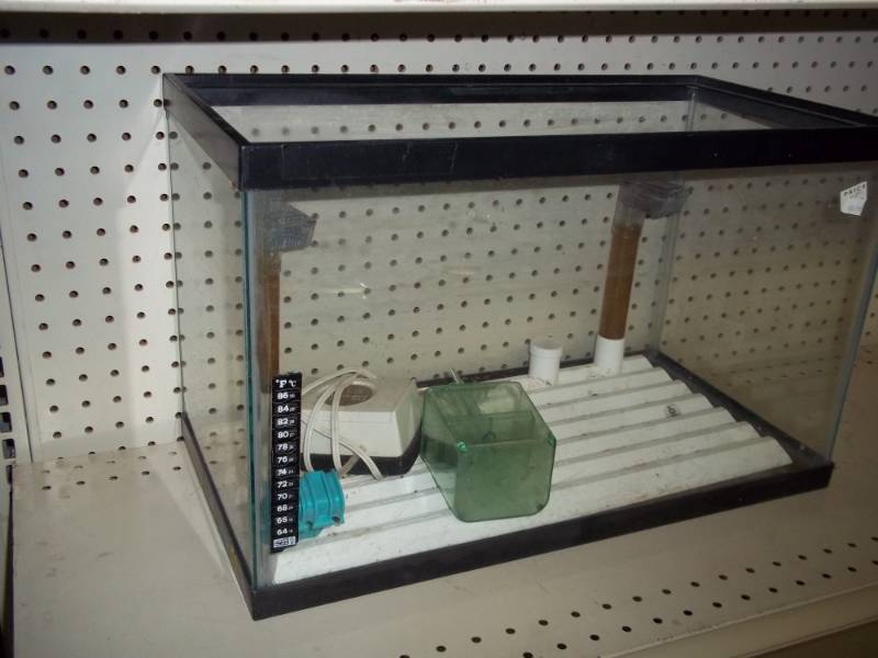 lot 85 image: 20 gallon aquarium  terrarium