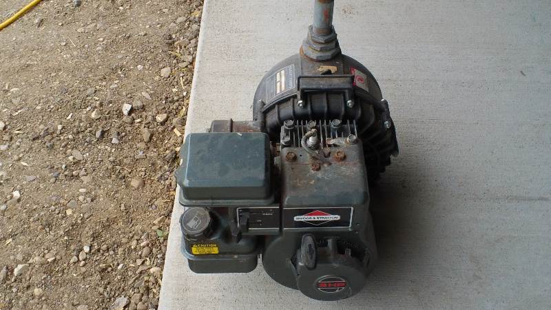 Pacer pump