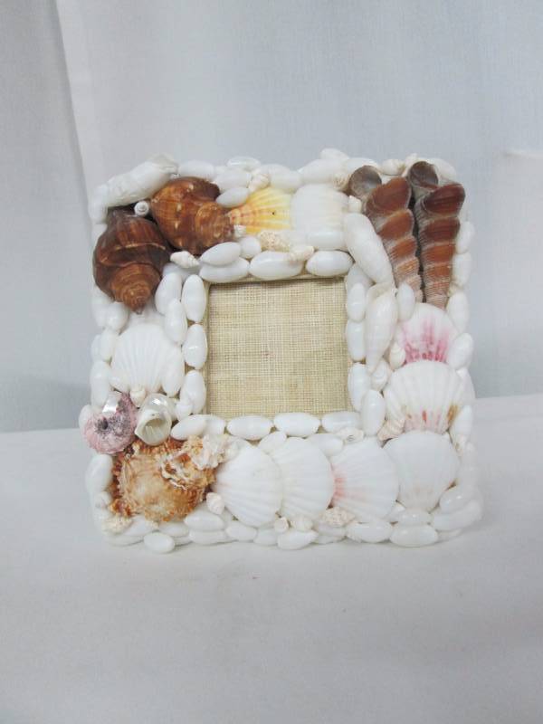 Biscayne White and Brown Shell Picture Frame