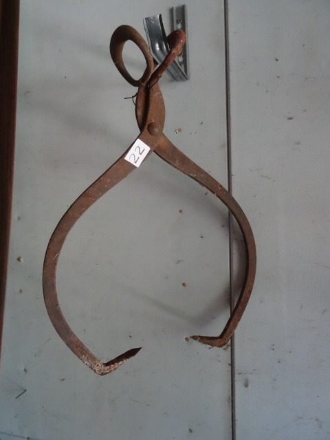 Ice Tongs