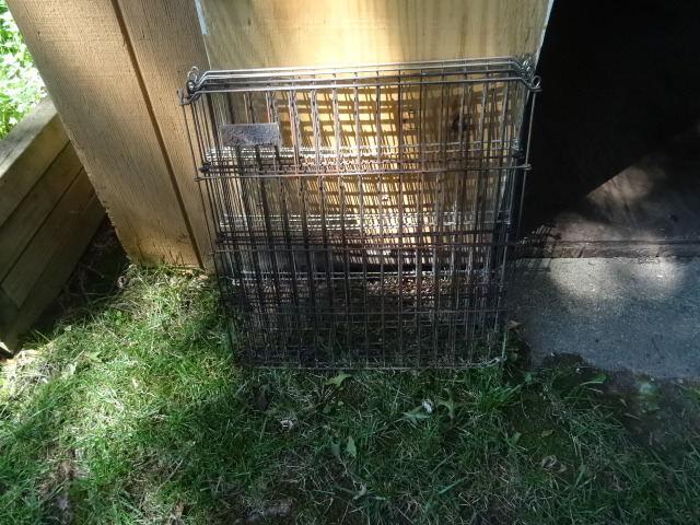 Hinged Panels