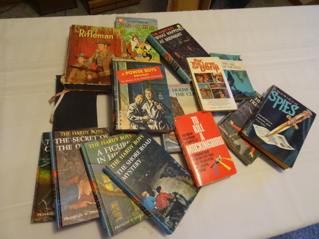 Hardy Boys Books