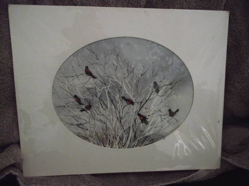 lot 41 image: Redwing blackbirds by Jean Tanner