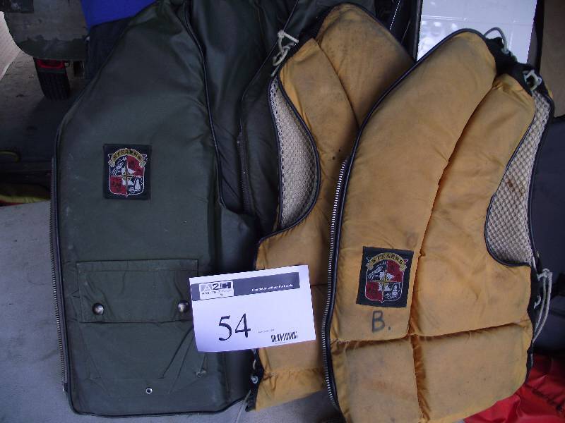 lot 54 image: 2 Stearns adult life vests.