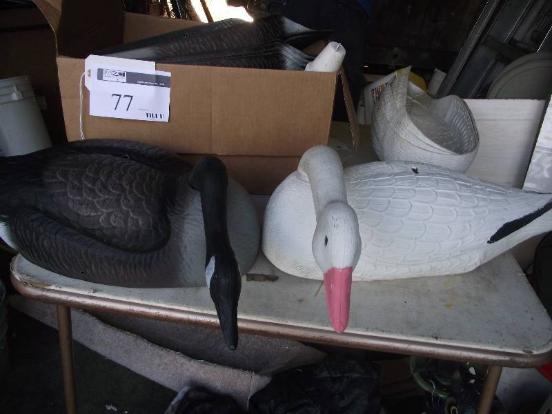 lot 77 image: Goose shell decoys. 4 snows and 6 Canadians