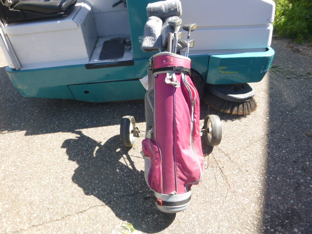 lot 207 image: Ladies Golf Clubs