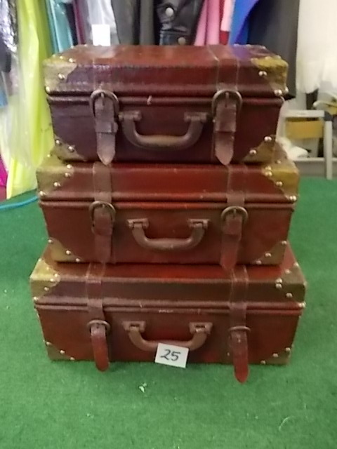 Decorative Trunks