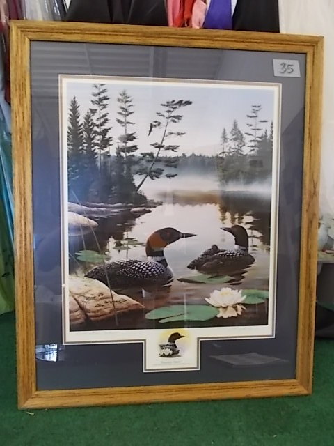 Framed Art