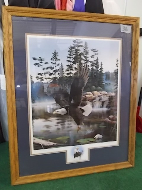 Framed Art