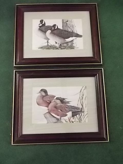 Duck Pictures 15 x 12