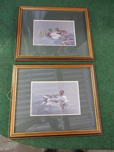 2 Duck Pictures 18 x 15