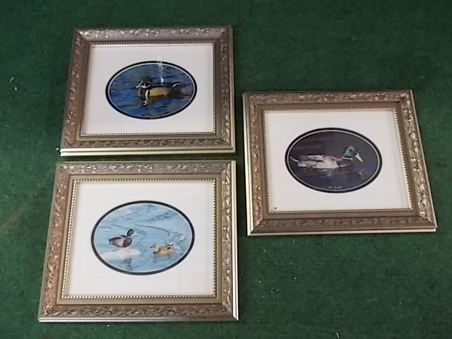 3 Duck Pictures 12 x 10