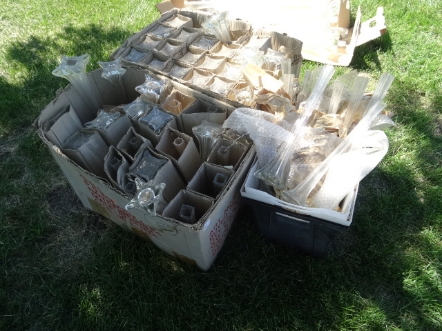 Vases
