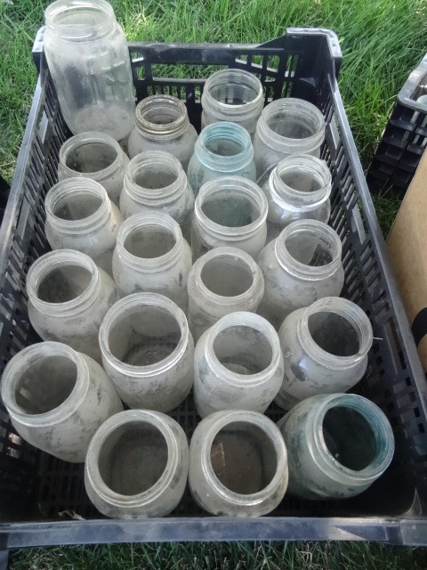 Canning Jars