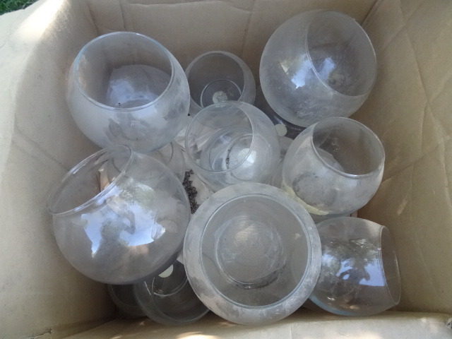 Fish Bowl Vases