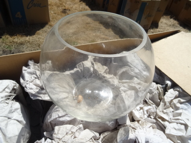 Large Fish Bowl Pots