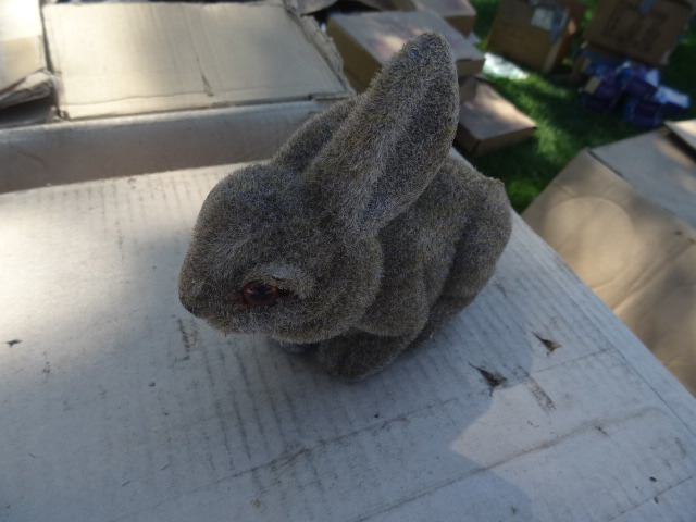 Furry Bunnies