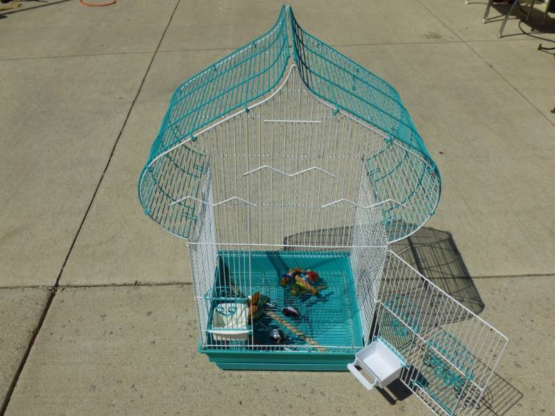 Painted Bird Cage