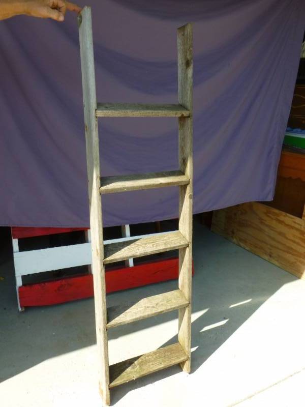 Bunk Ladder