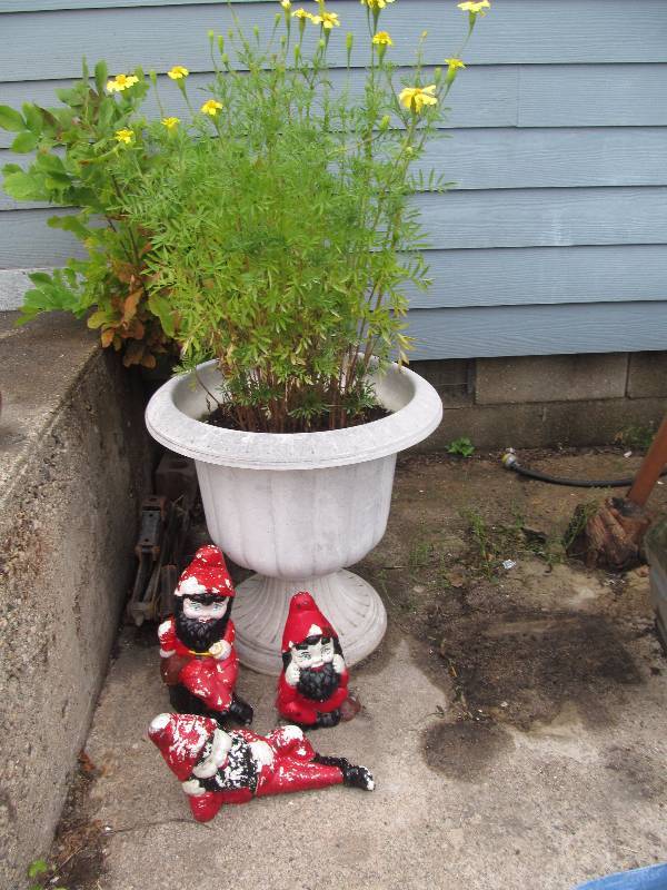 planter