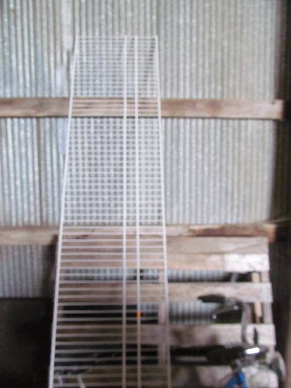 shelf