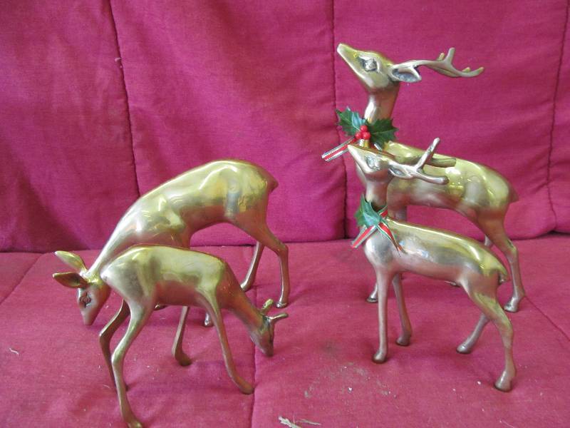 Reindeer