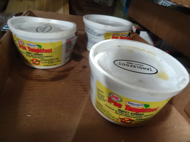 New quantity 3 containers of tangle...