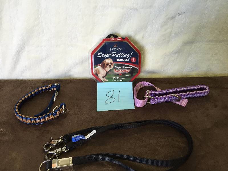 Lot of Dog Items