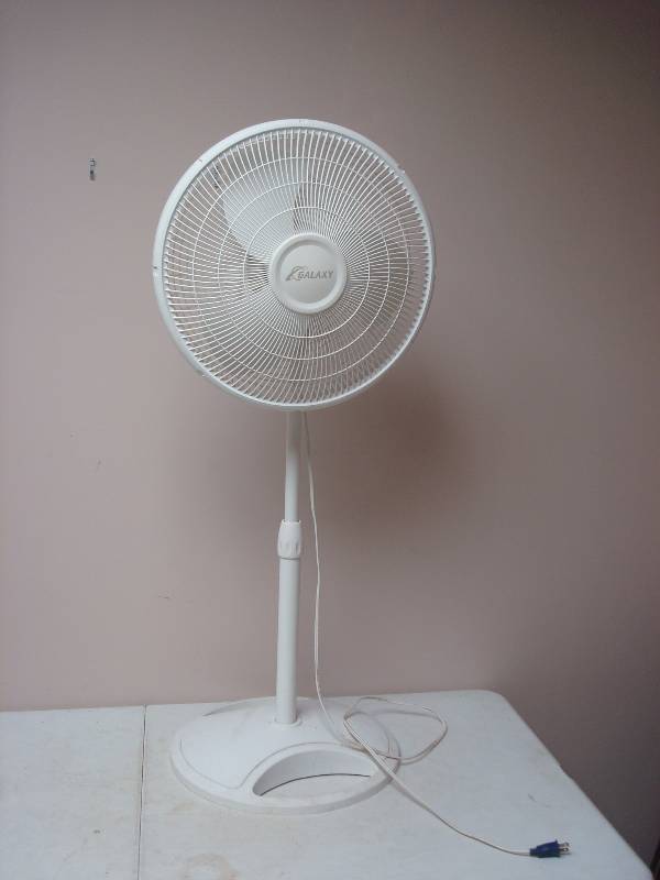 lot 41 image: Standing Motion Fan, Works Good