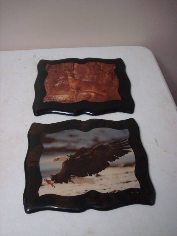 lot 47 image: Pair Of Glossy Wood Nature Pictures