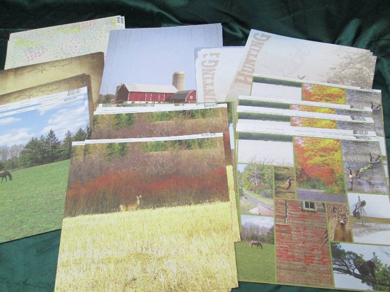 Assortment of different kinds of sc...