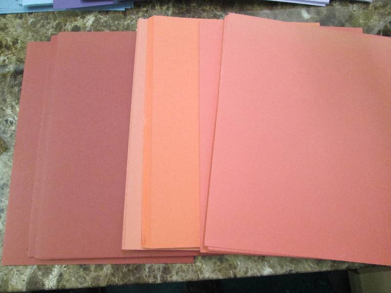 Assortment of color 8.5 x 11...