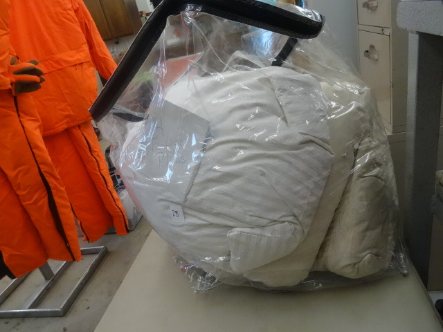 lot 28 image: Bed Pillows