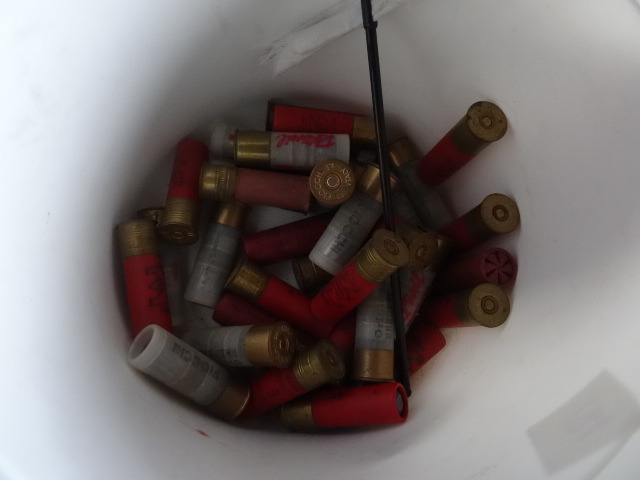 lot 181 image: 12 and 16 Gauge Shells