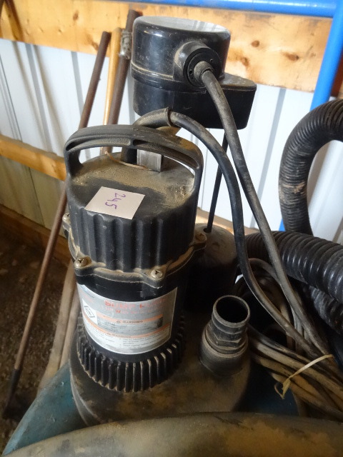 lot 245 image: Sump Pump