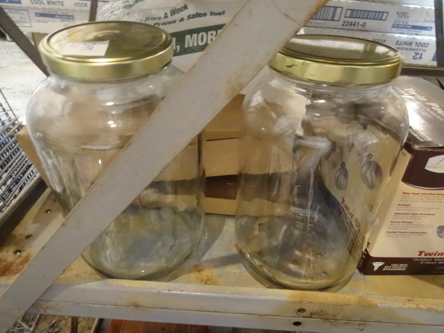 lot 298 image: Glass Jars