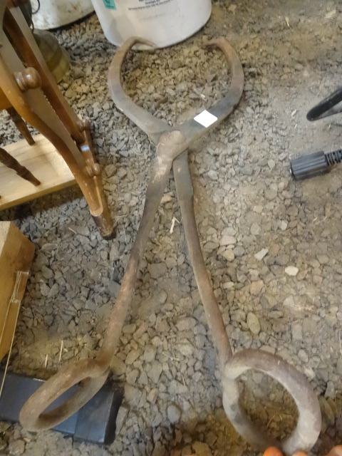lot 332 image: Ice Tongs