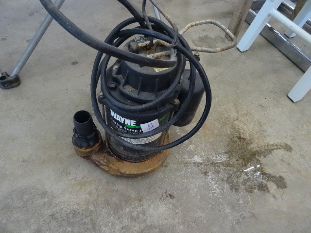 lot 428 image: Wayne sump pump