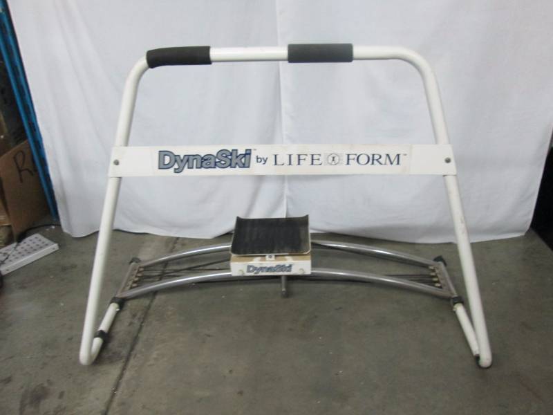 lot 12 image: DynaSki by Life Form