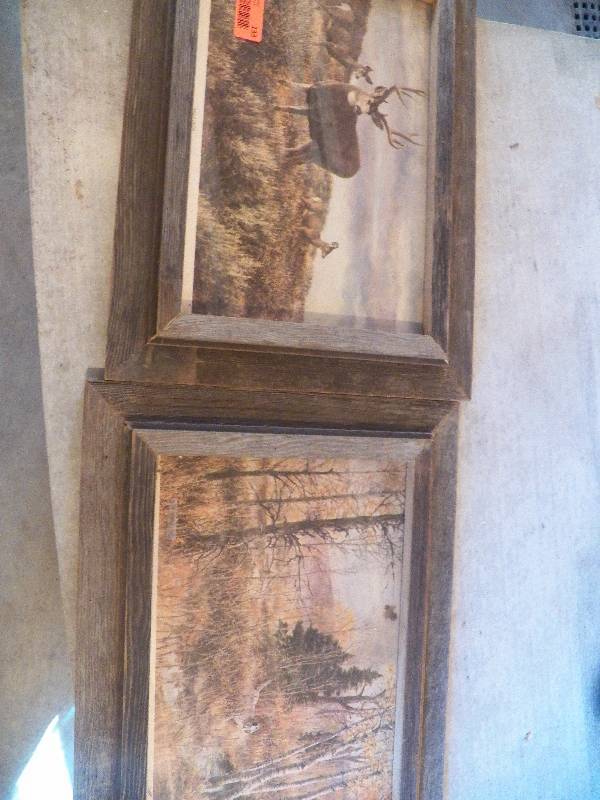 2 Outdoor pictures