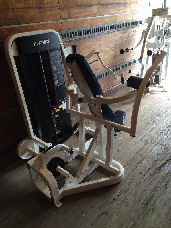 Cybex Eagle Arm Extension Machine