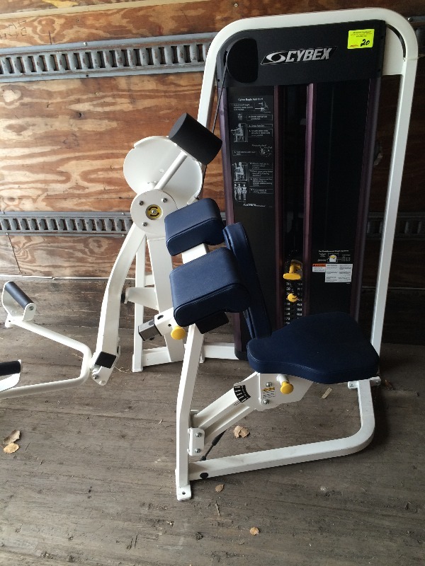 Cybex Eagle Arm Curl Machine