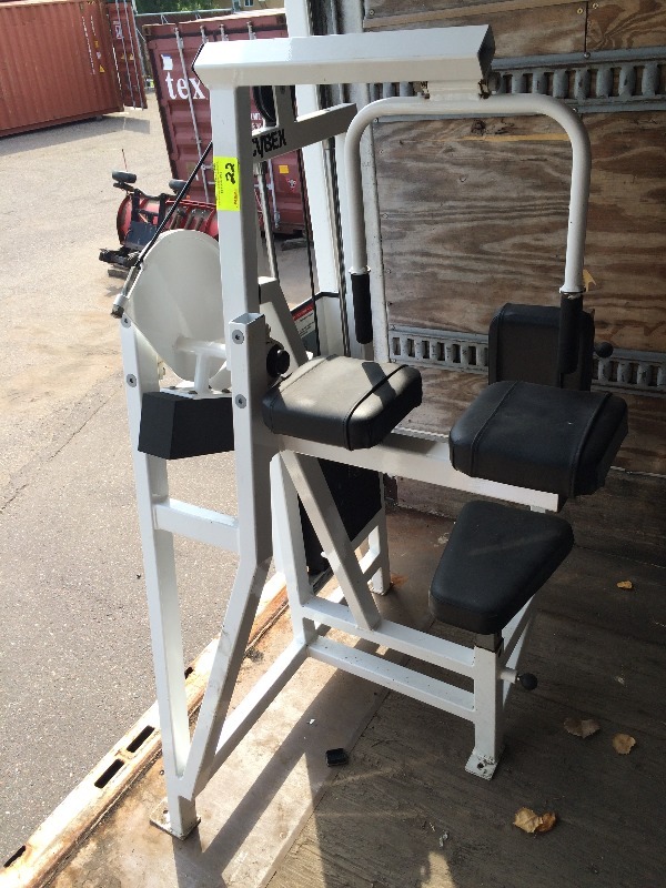 Cybex Eagle Tricep Extension Machine