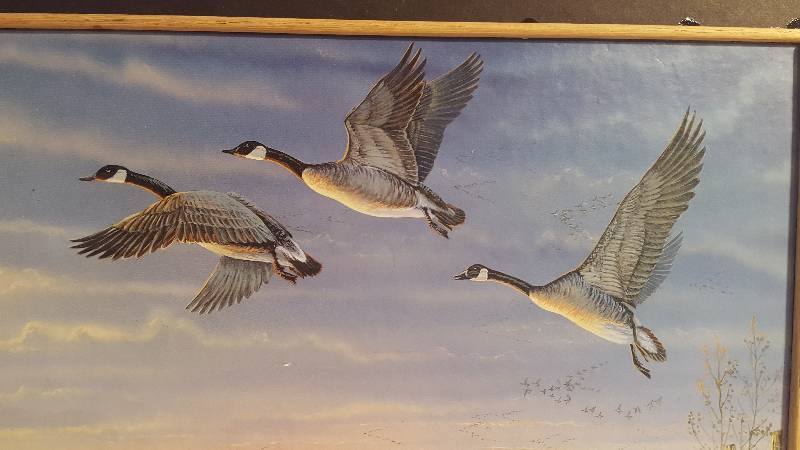 GEESE PORTRAIT