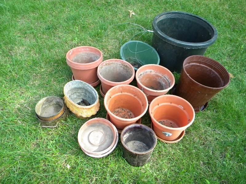 lot 181 image: Pots and Planters