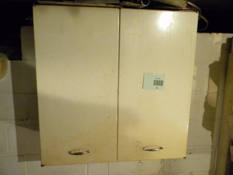 lot 225 image: Cabinet on Wall with Contents